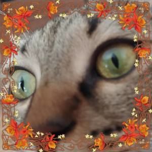 Meet your Posher, Patricia